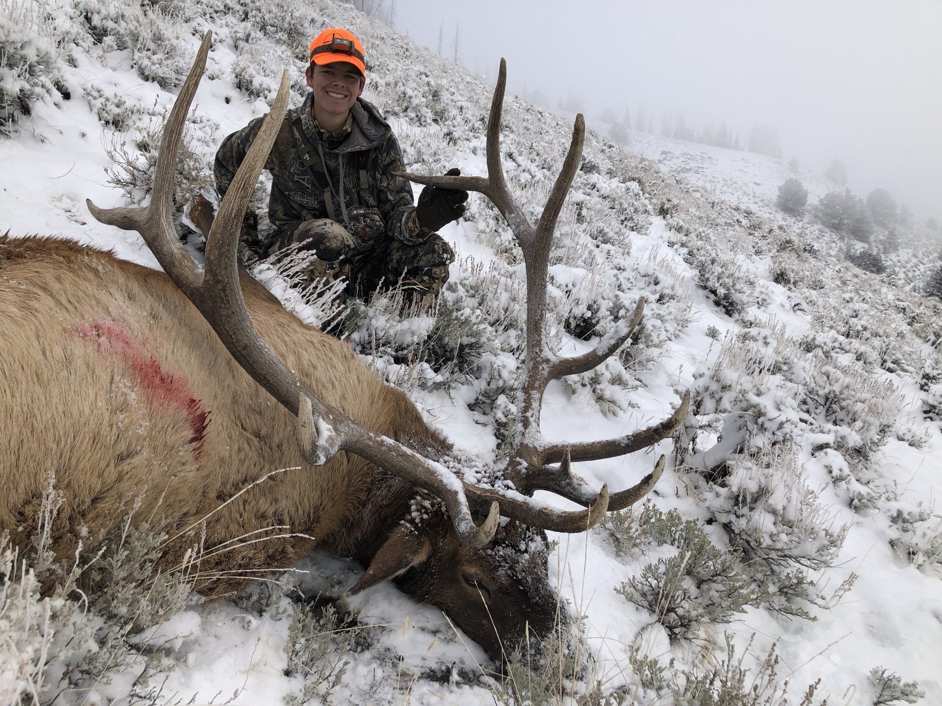 Guided Wyoming elk hunt