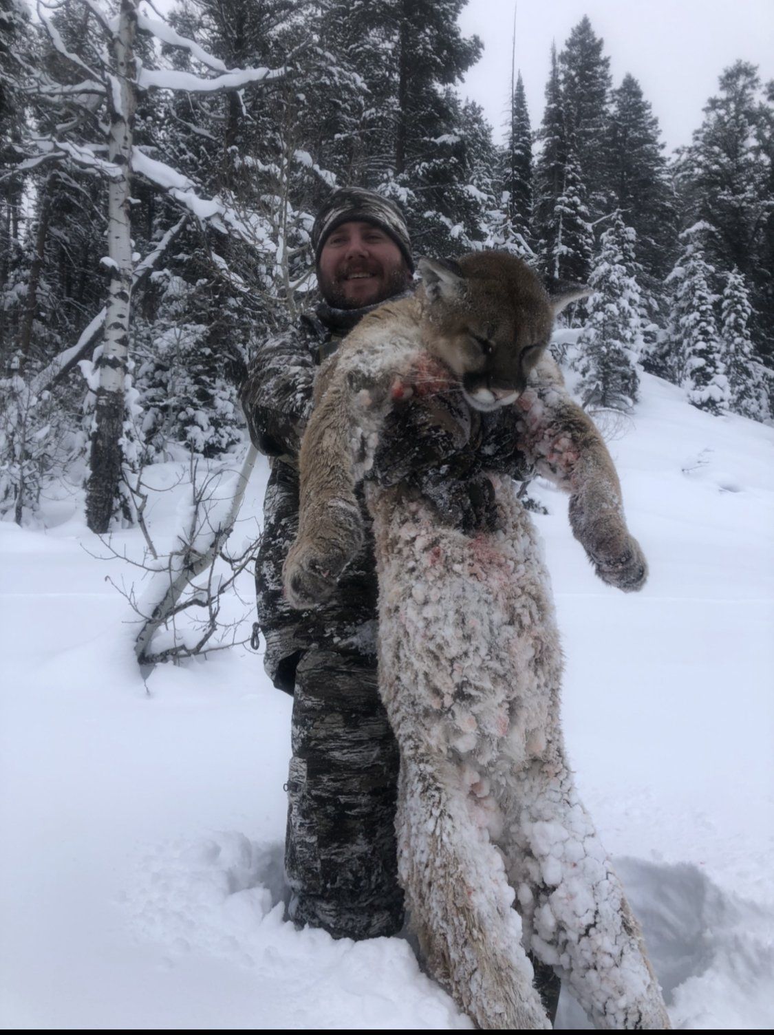 Wyoming Guided Mountain Lion Hunt