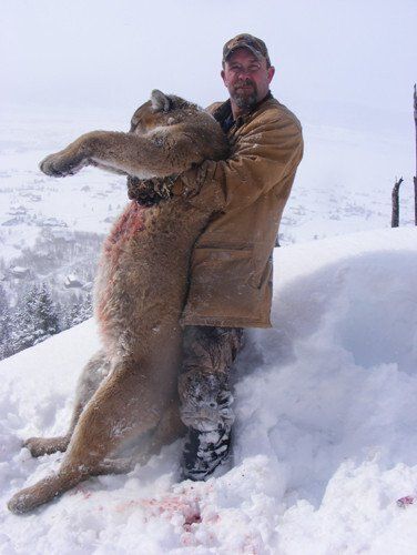 Wyoming Guided Mountain Lion Hunt