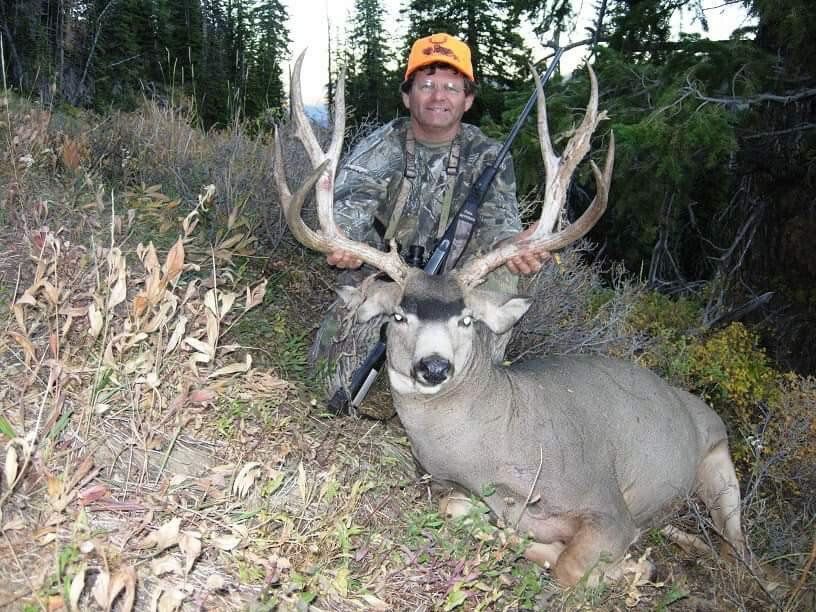 Region G mule deer