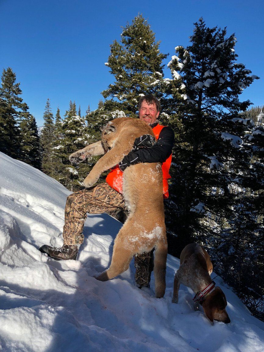 Wyoming Mountain Lion Hunt