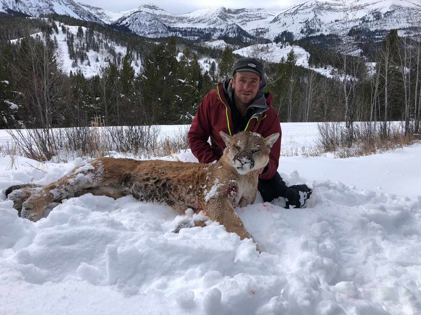 Wyoming Guided Mountain Lion Hunt