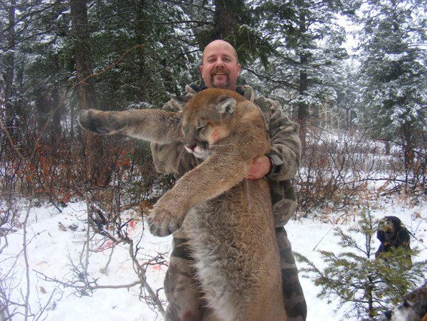 Wyoming Mountain Lion Hunt
