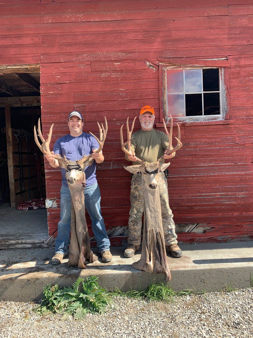 Trophy wyoming mule deer hunt