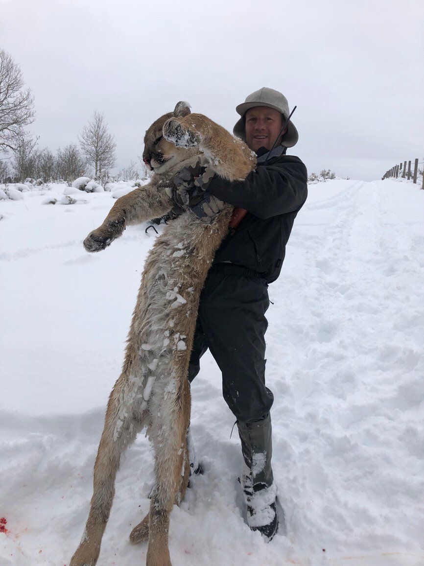 Wyoming Guided Mountain Lion Hunt