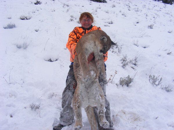 Wyoming Guided Mountain Lion Hunt