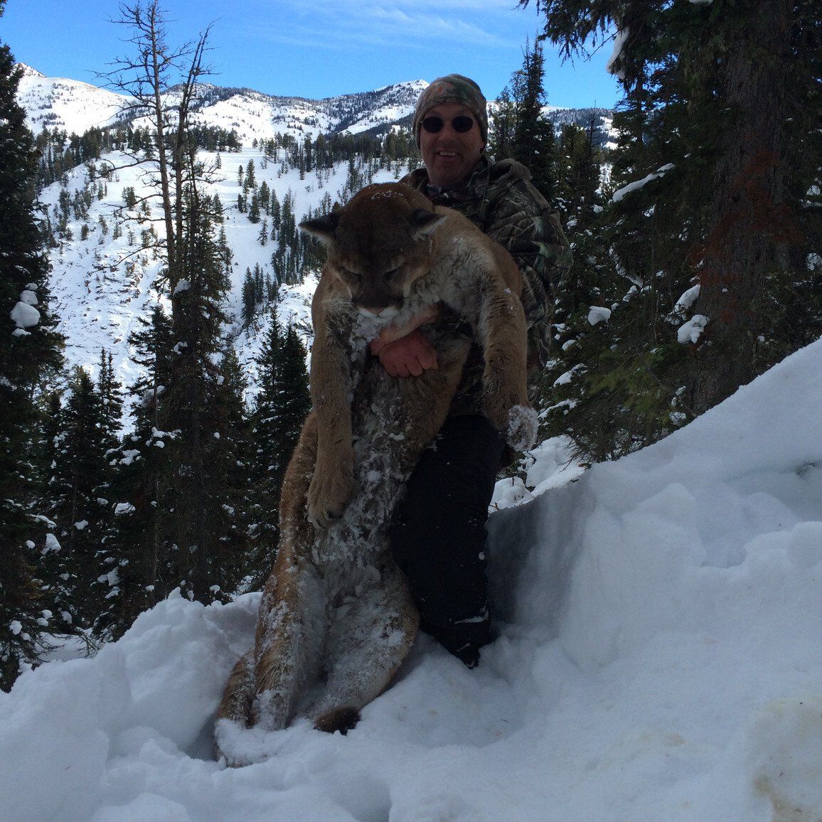 Wyoming Guided Mountain Lion Hunt