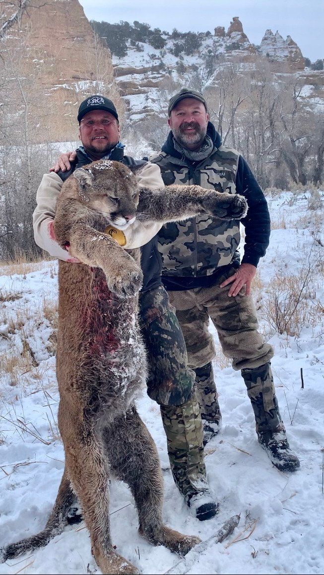 Wyoming Guided Mountain Lion Hunt