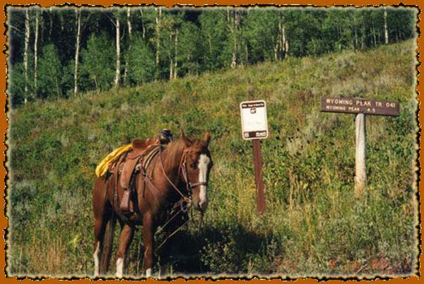 Bridger - Teton National Forest in Western Wyoming guide