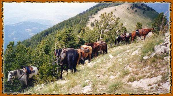 Bridger - Teton National Forest in Western Wyoming pack trip