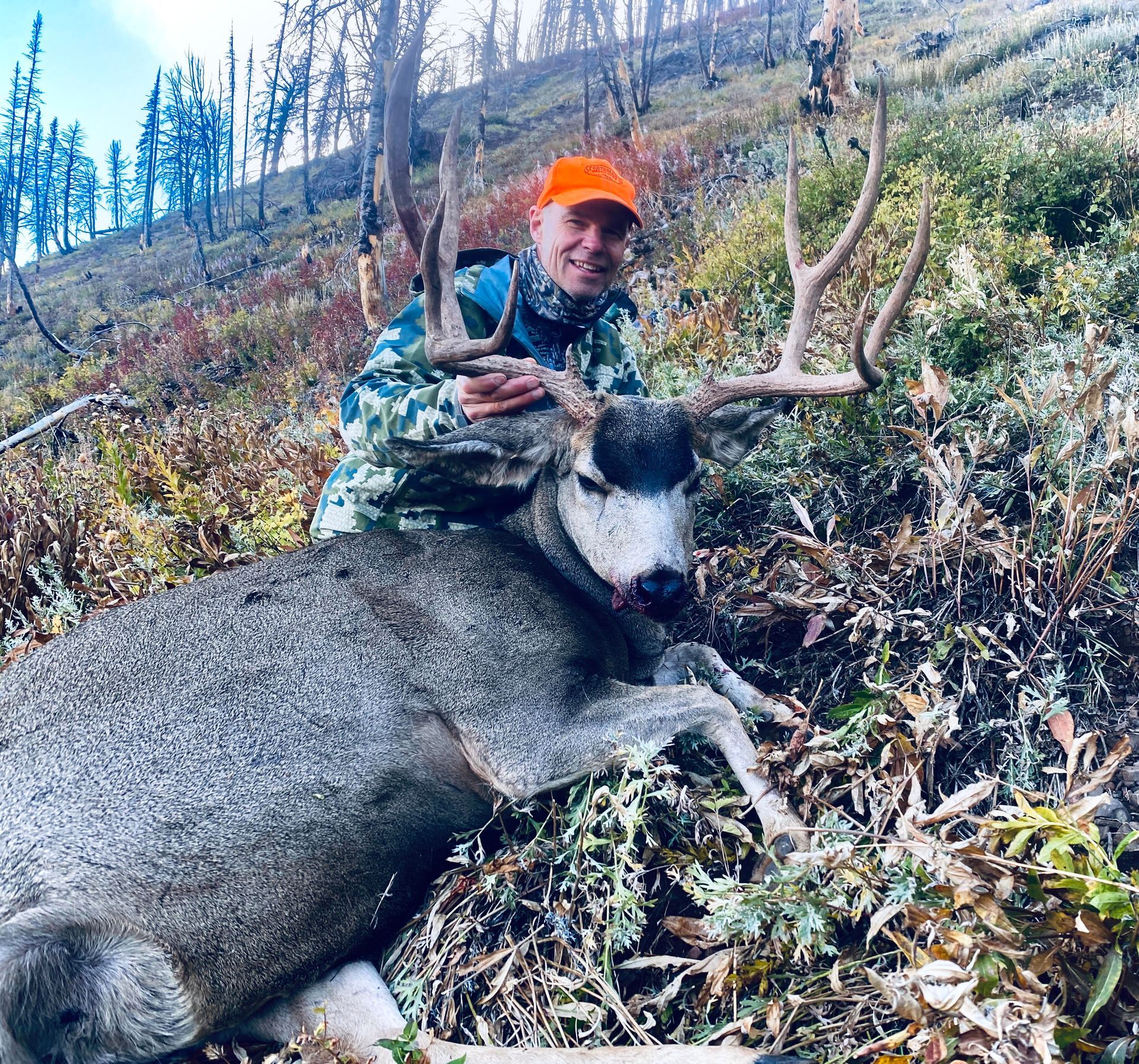 Region G Wyoming Mule Deer hunt