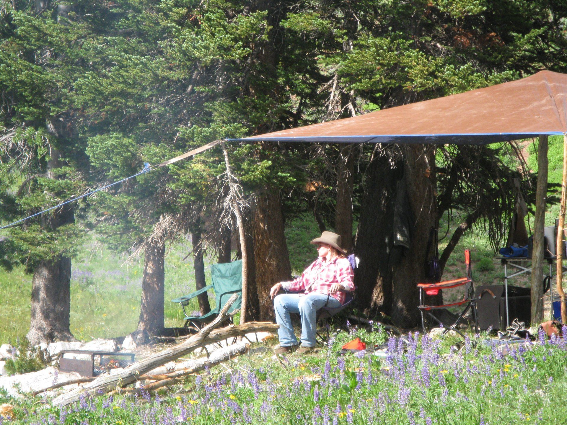 Wyoming horse pack trip