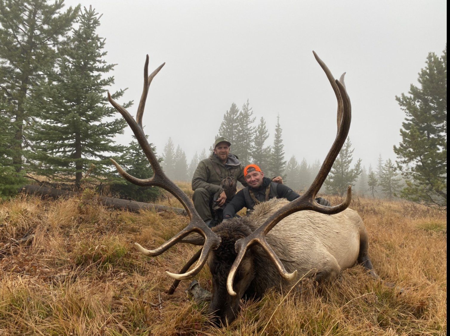Wyoming elk outfitter
