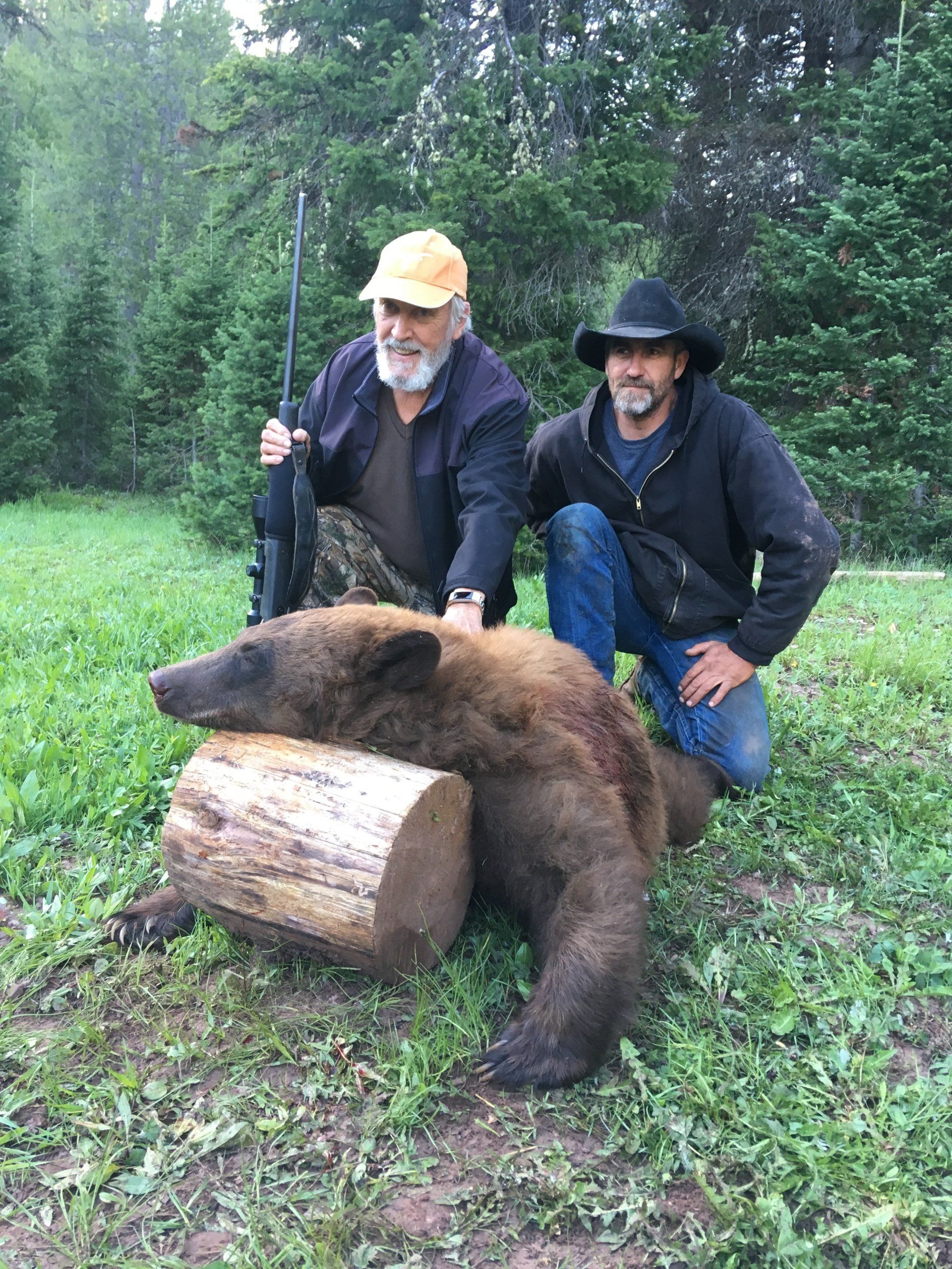 Wyoming Spring Bear Hunting, WY Spring Bear Hunt, Wyoming Outfitter