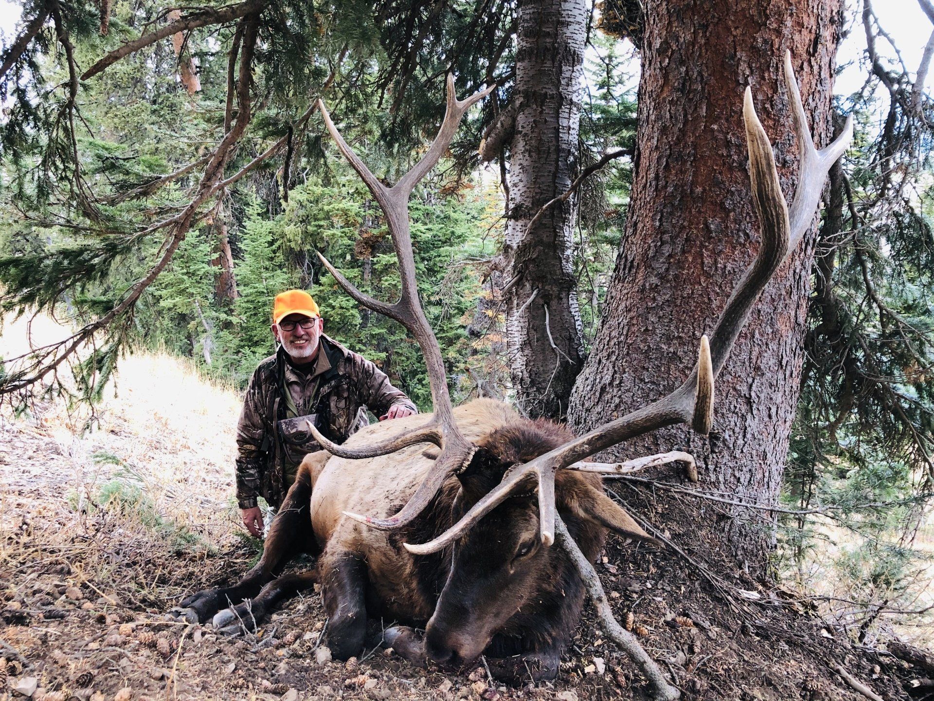 Western Wyoming elk hunt