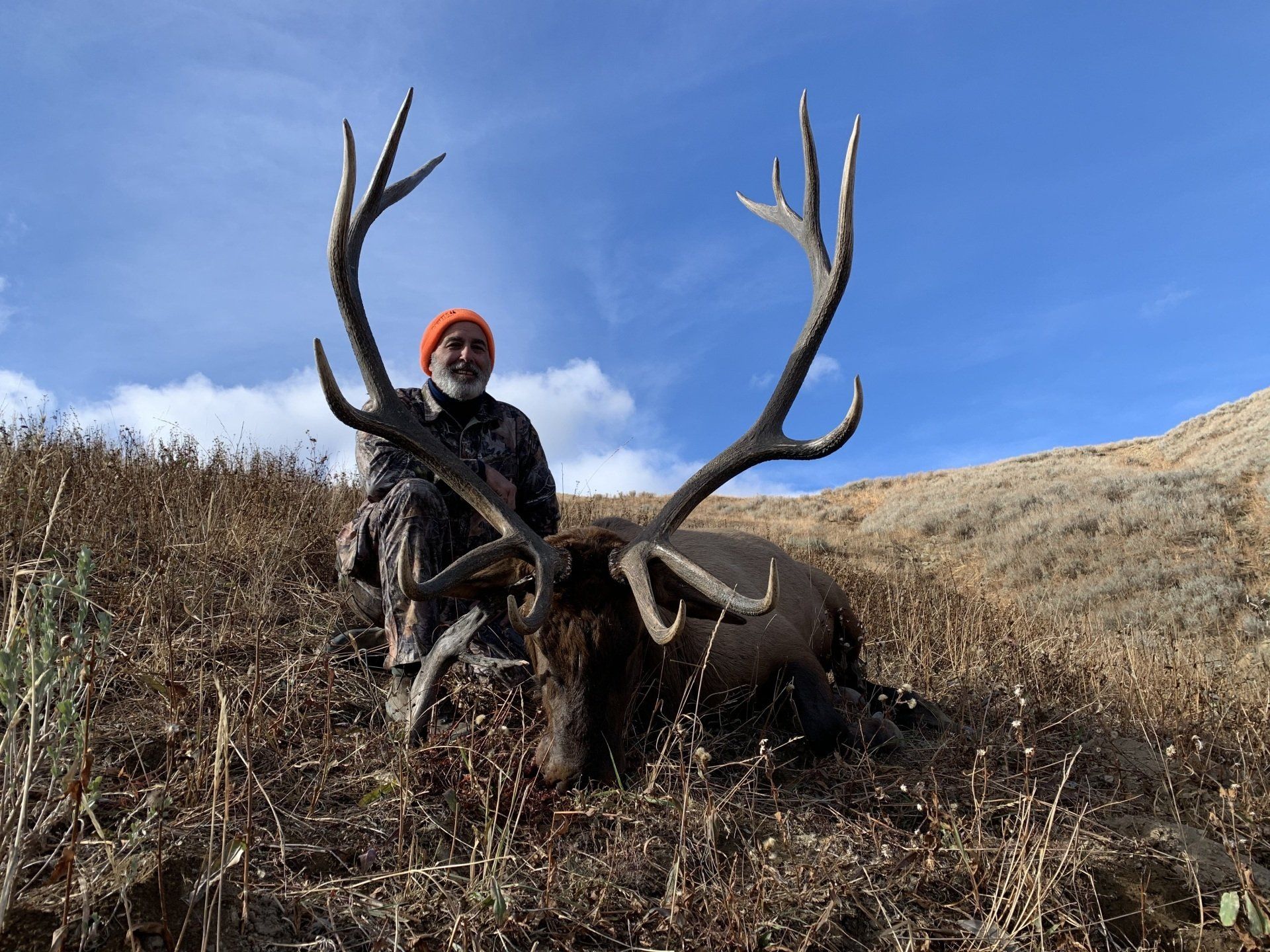 General tag Wyoming Elk