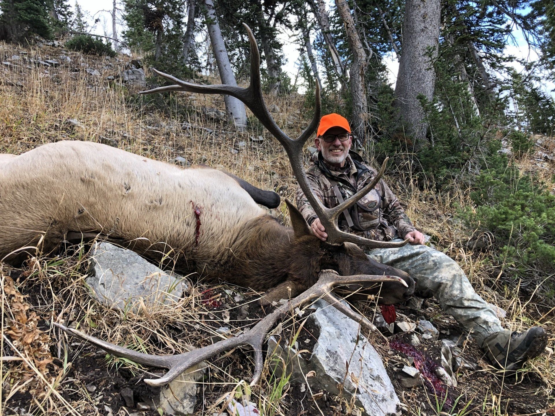 Jackson Wyoming elk hunt