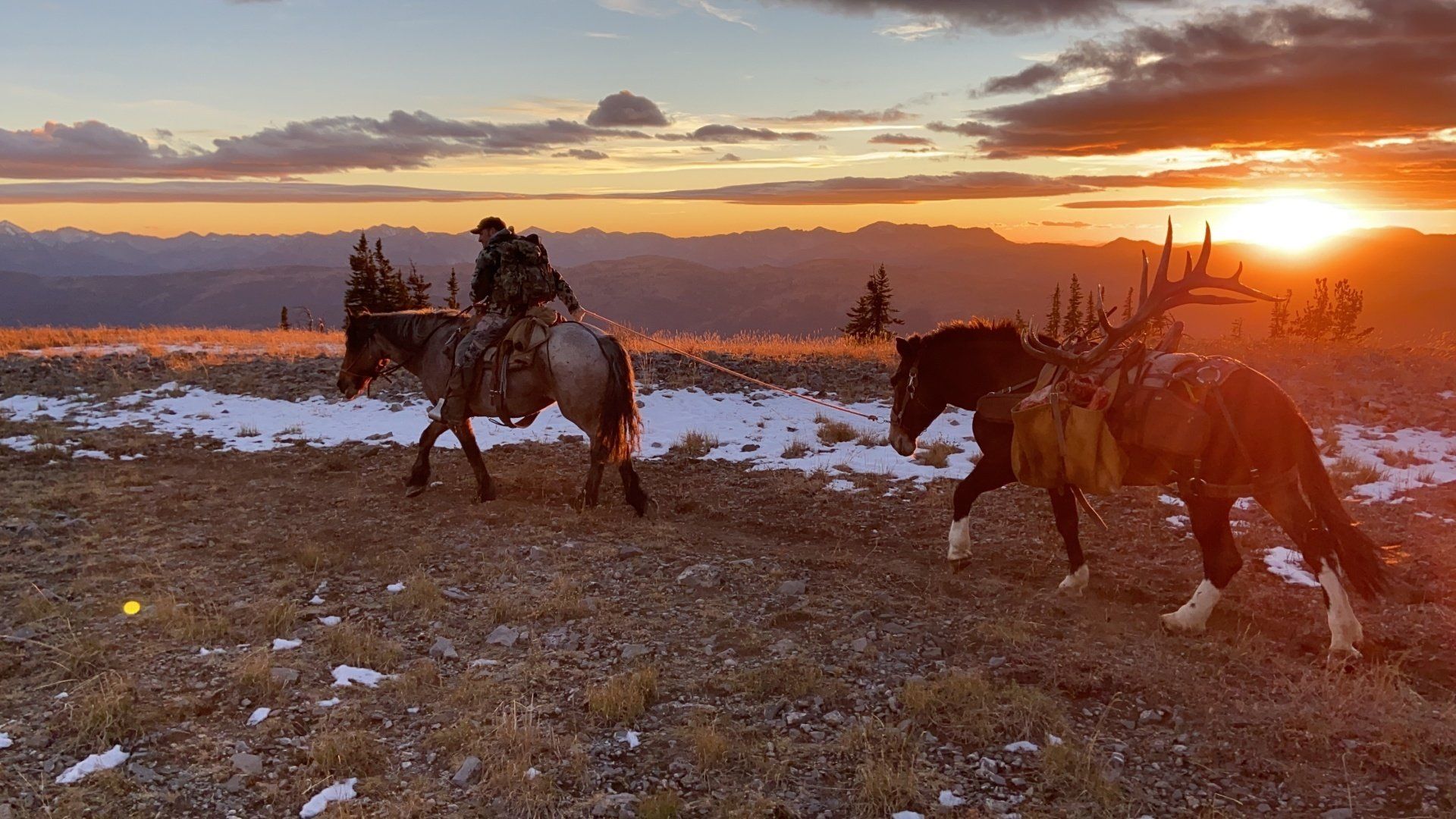 Wyoming horse back elk hunt