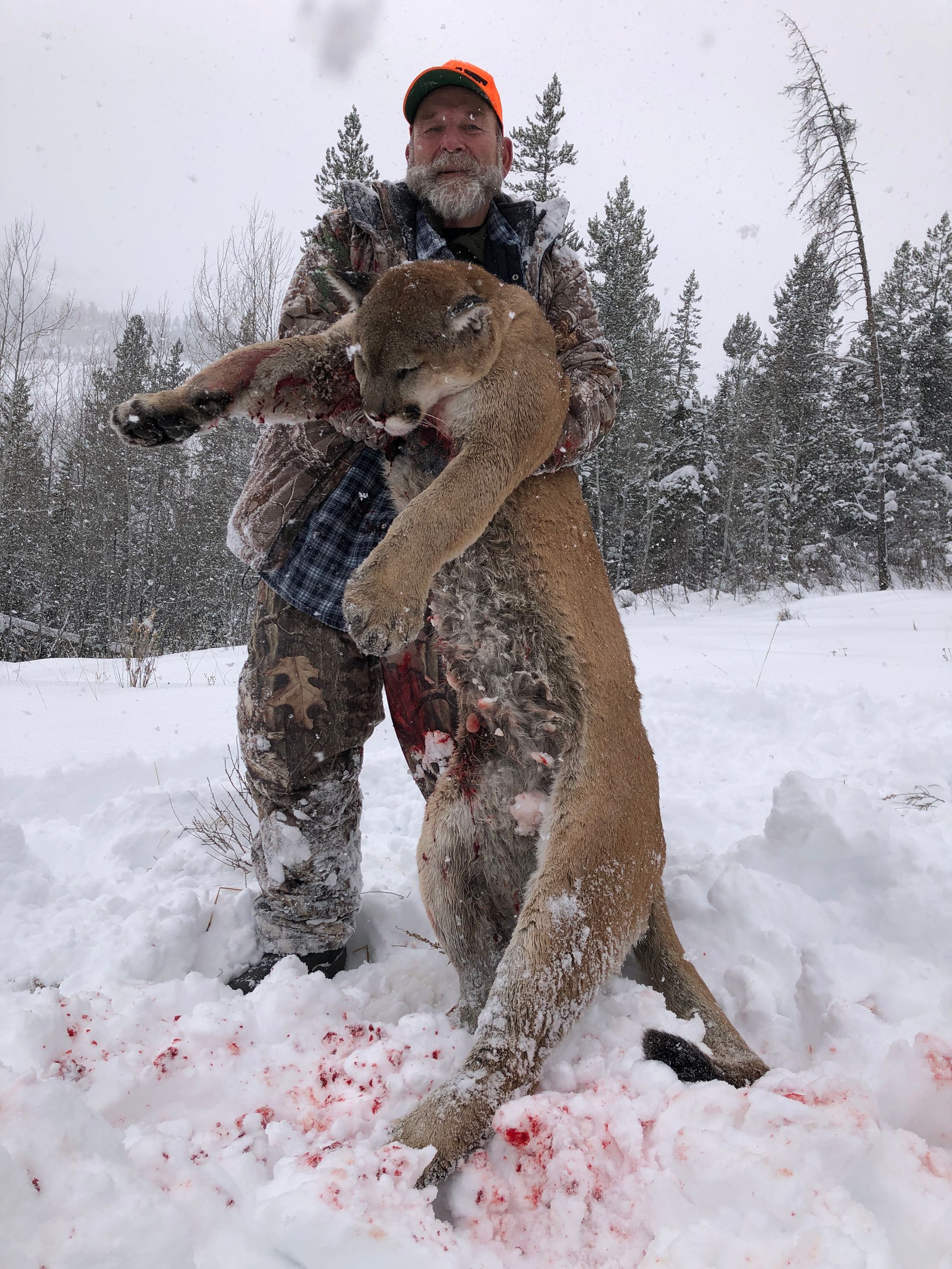 Winter guided wyoming hunt