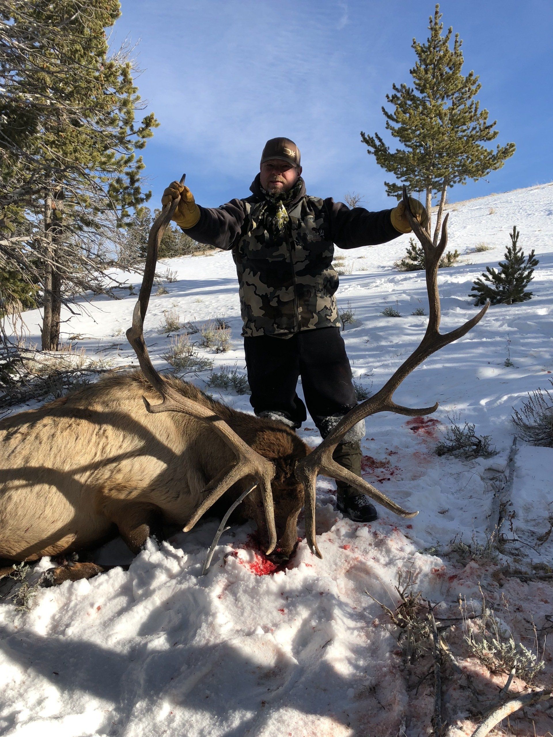 Wyoming elk hunt
