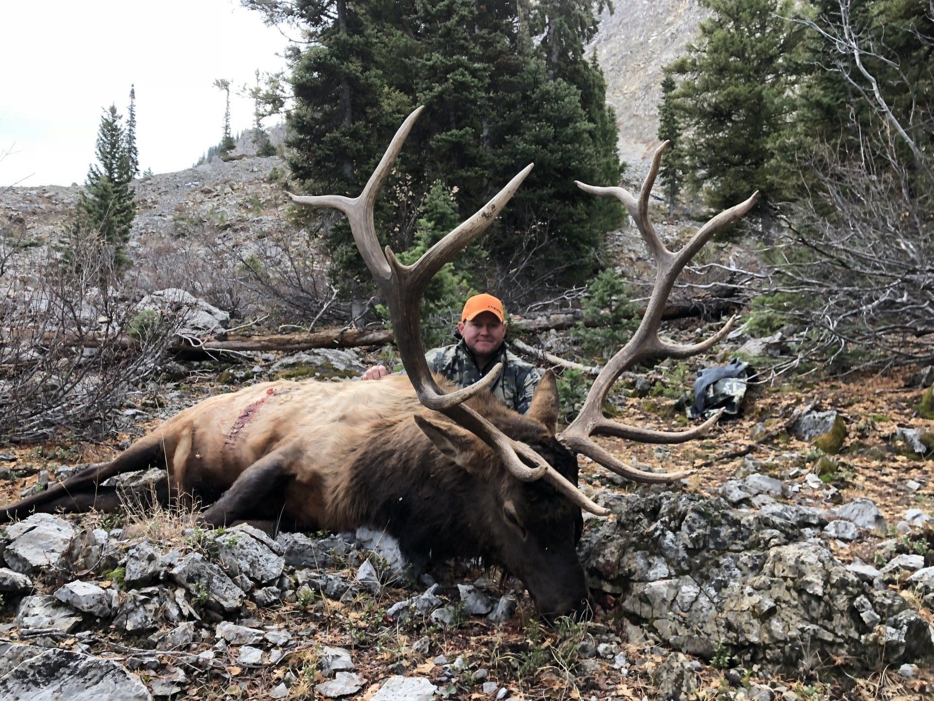 Guided Wyoming elk hunt