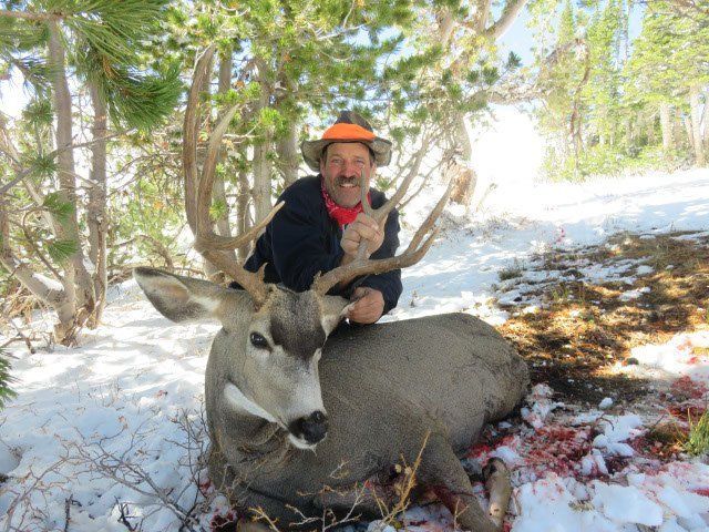Wyoming Mule Deer hunting