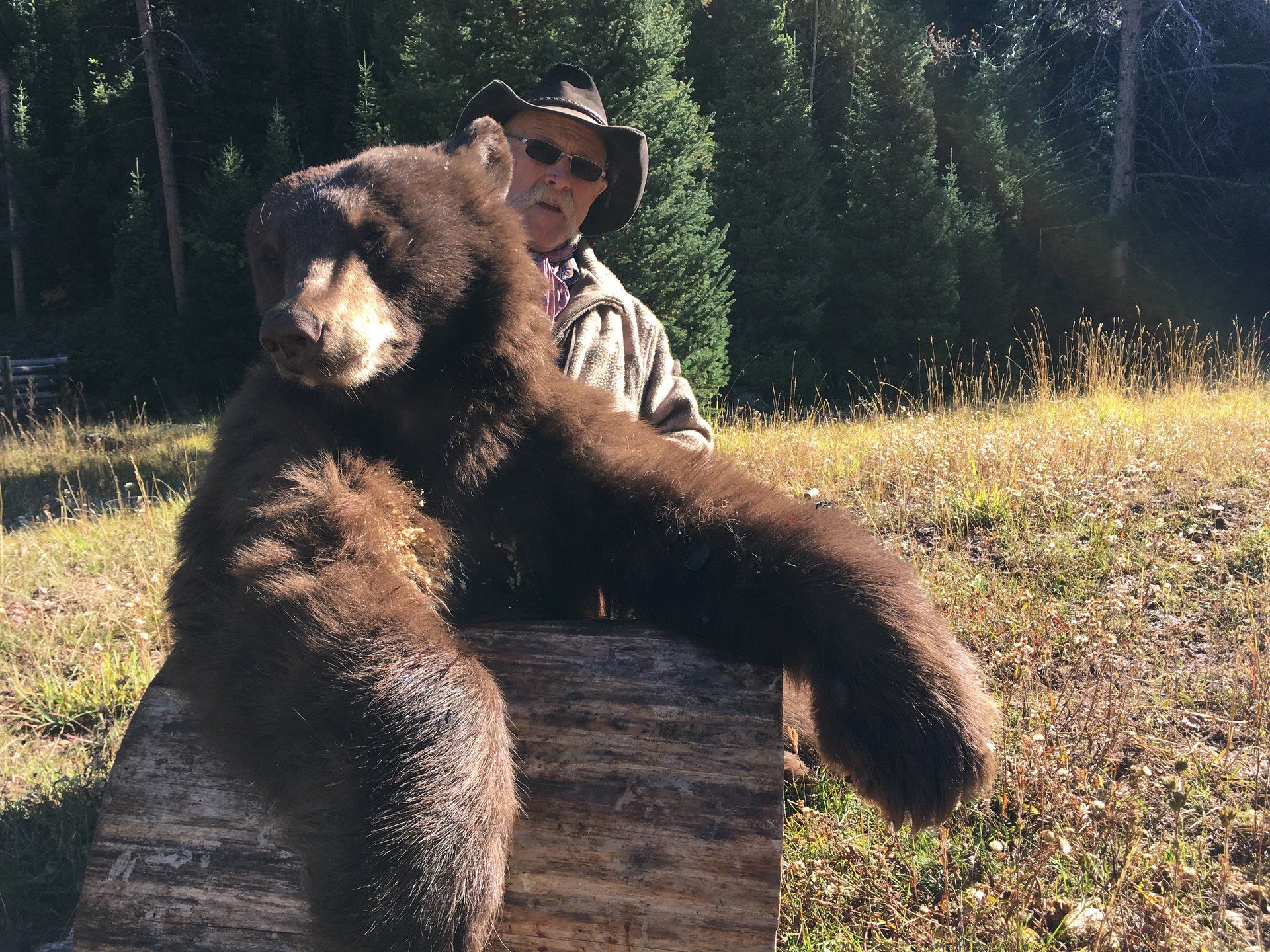 Wyoming Spring Bear Hunting, WY Spring Bear Hunt, Wyoming Outfitter