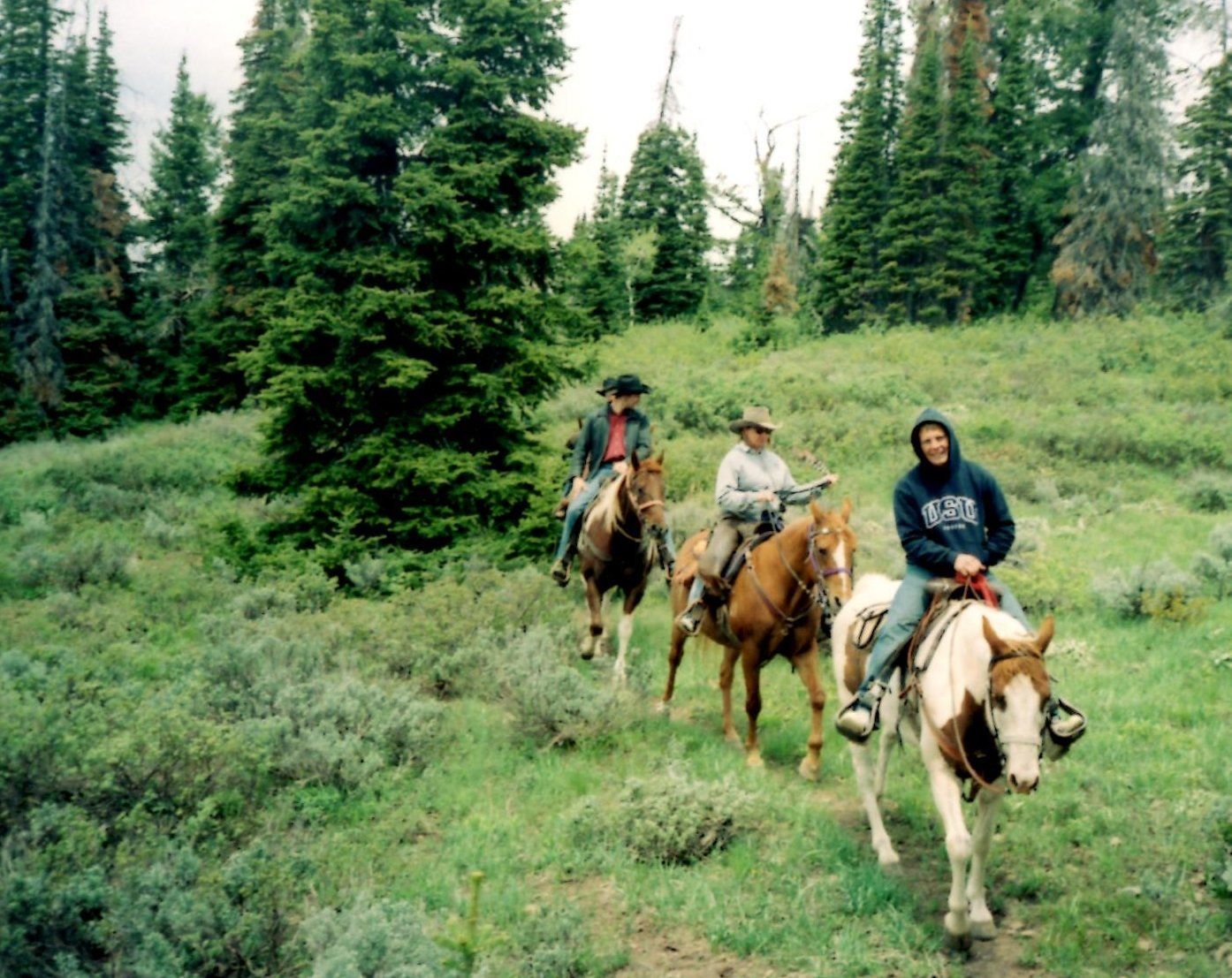 Wyoming horse back mountain trip Bridger - Teton National Forest in Western Wyoming