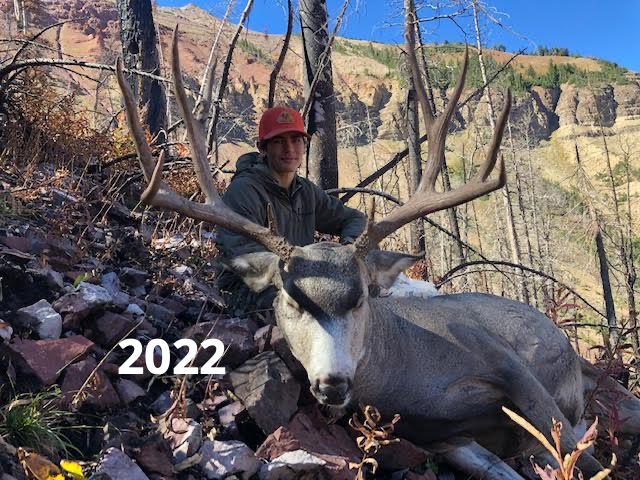 Region G Wyoming Mule Deer