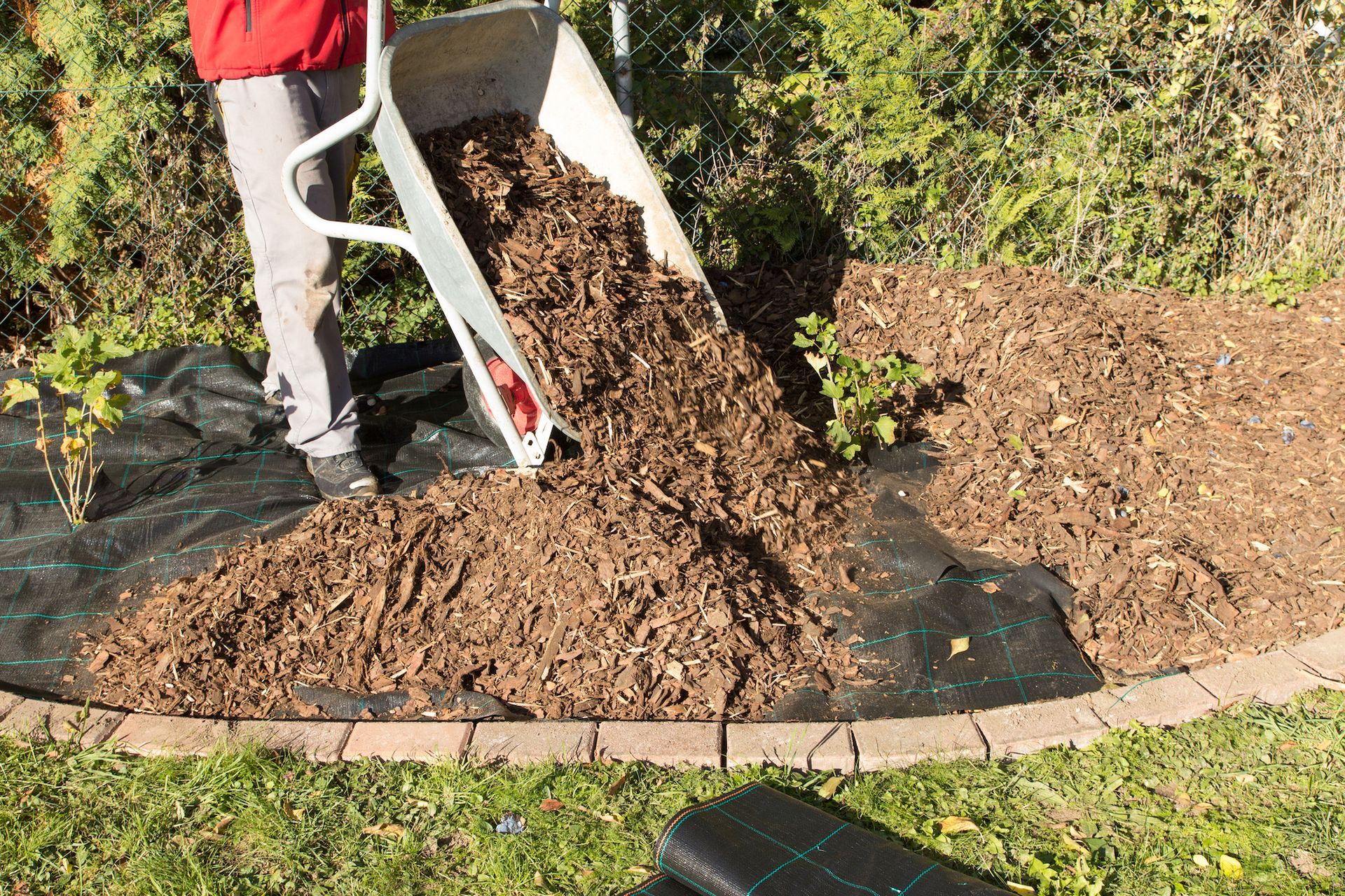 Person dumping mulch from a wheelbarrow onto a landscaped garden bed covered with landscaping fabric.