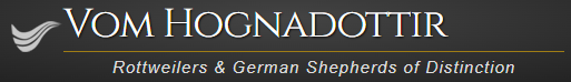 Dog Breeder in San Francisco, CA | Vom Hognadottirs Dog Breeder in San Francisco, CA | Vom Hognadottirs