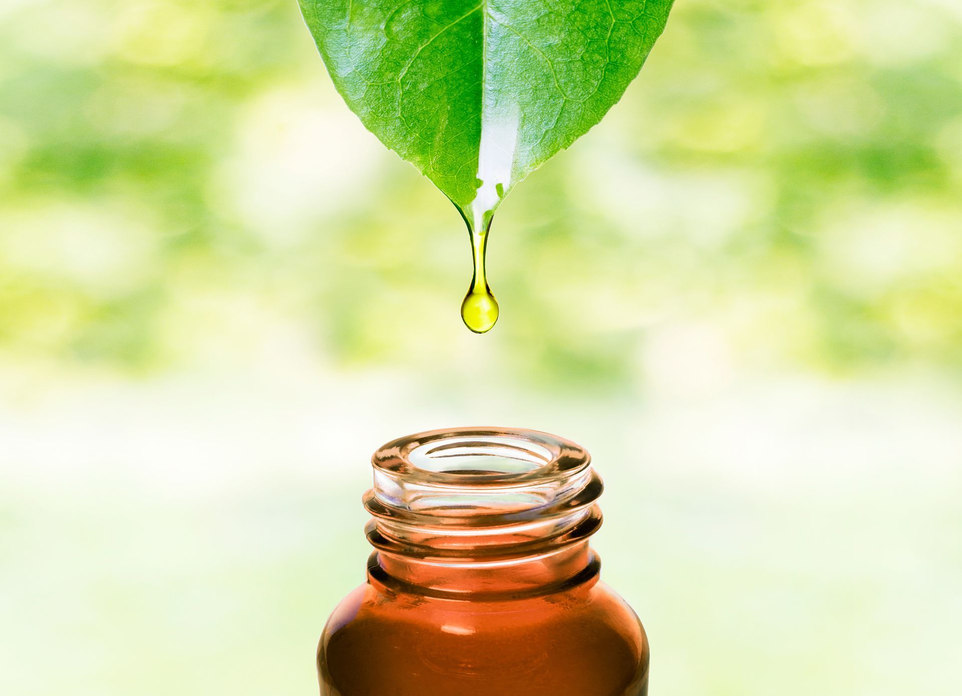 Green leaf dripping yellow liquid into brown glass bottle. Blurred green background.