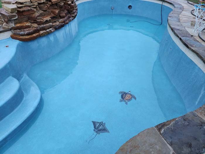 A Large Swimming Pool with A Stingray and A Turtle on The Bottom.