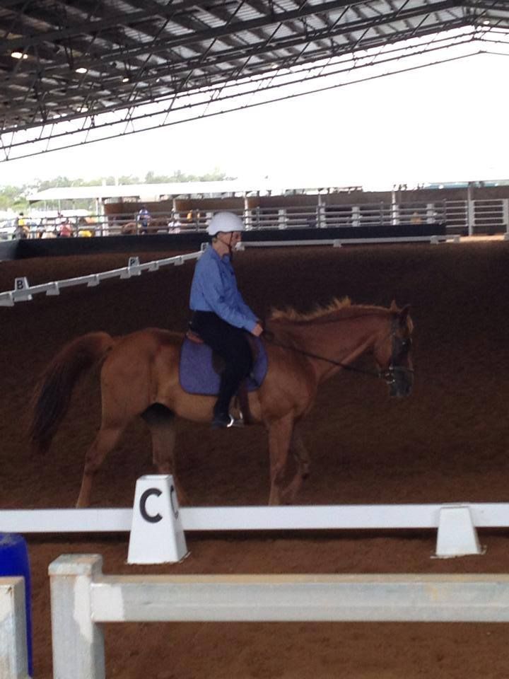 Person riding a brown horse in an indoor arena. Rider wears a helmet and blue shirt.