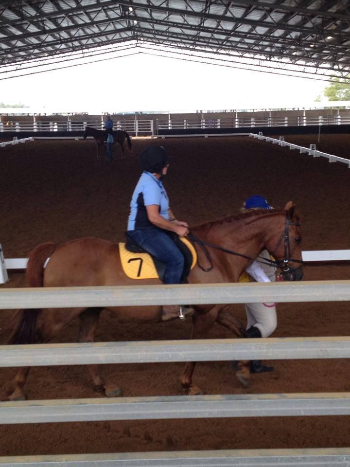 Person riding a brown horse in an indoor arena, wearing a helmet and a yellow saddle pad with the number 7.