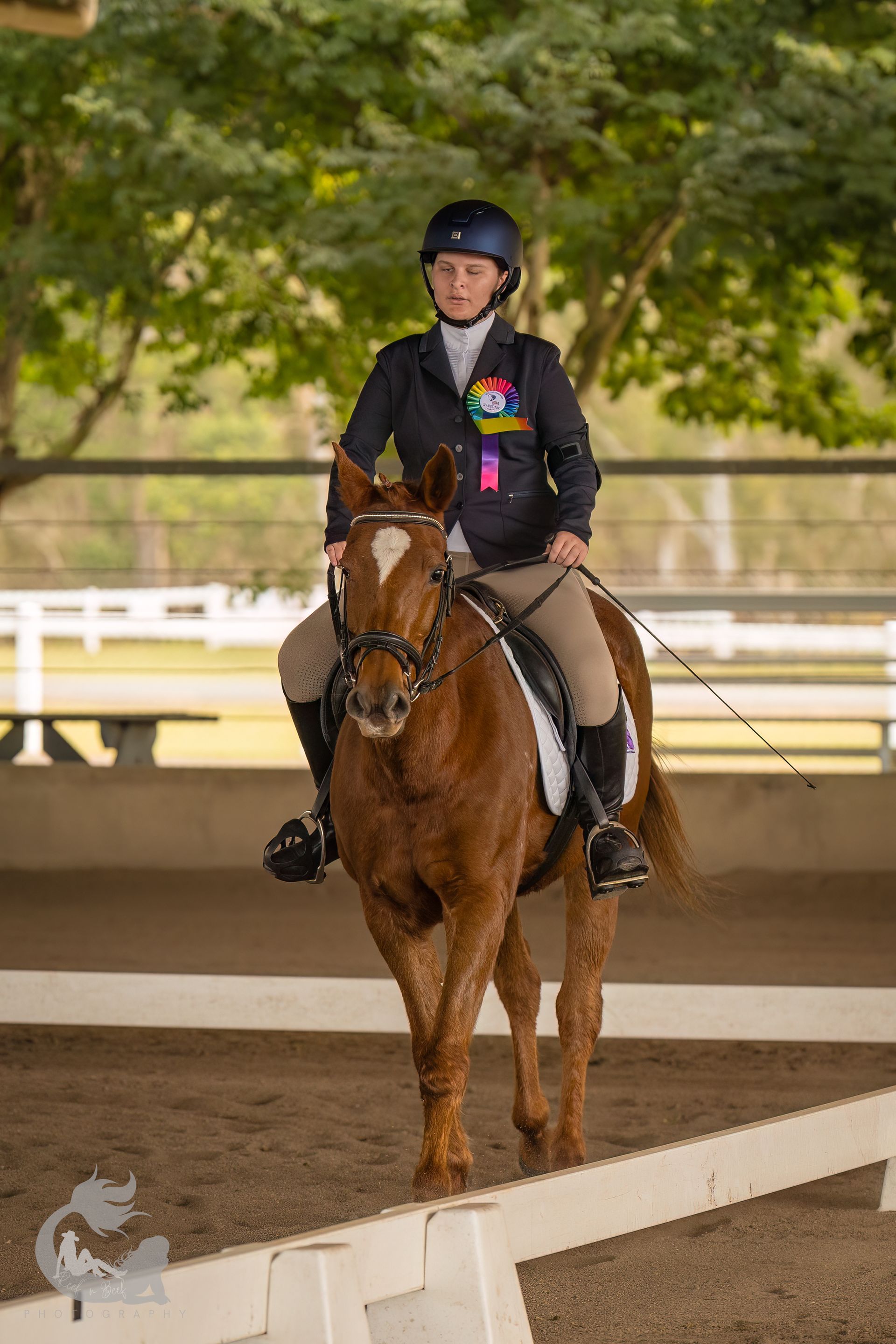 Rider on a chestnut horse, in a show ring. The rider wears a helmet and jacket.