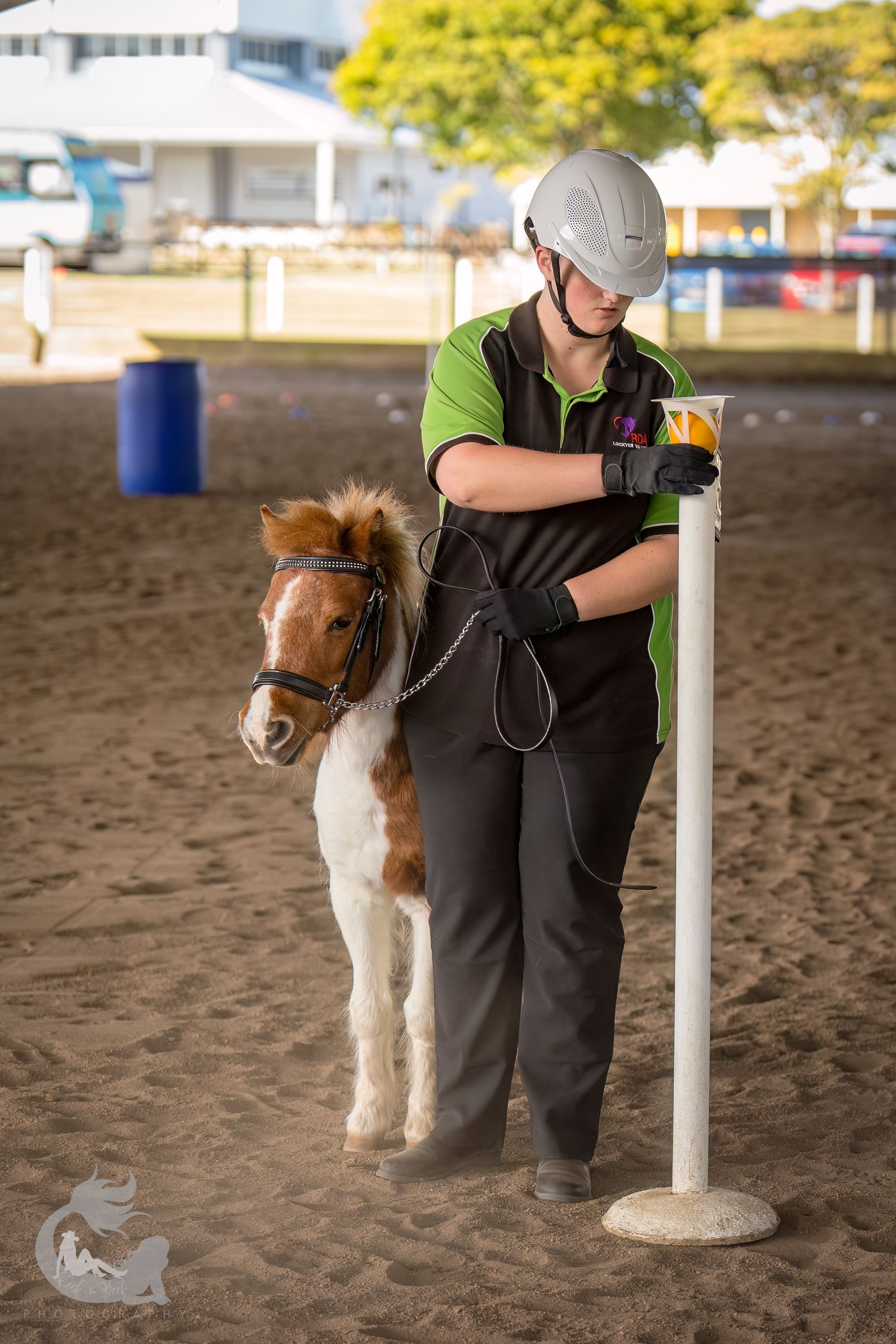 A person in a helmet and gloves stands by a white pole, next to a miniature horse with a bridle in a sandy arena.