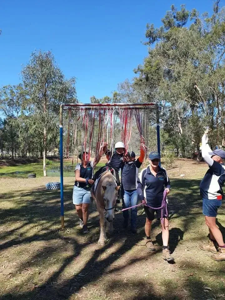People lead a pony through a curtain of colorful ribbons outdoors; sunny day.