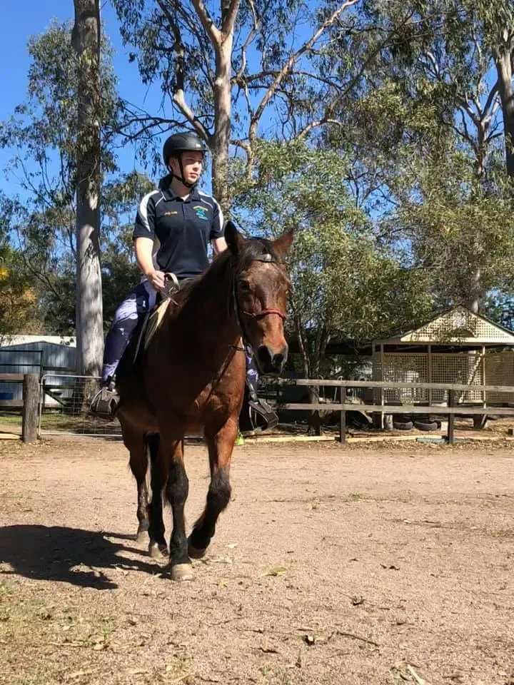 Person in riding gear on a brown horse, outdoors. Horse and rider move forward on a dirt track, trees in the background.