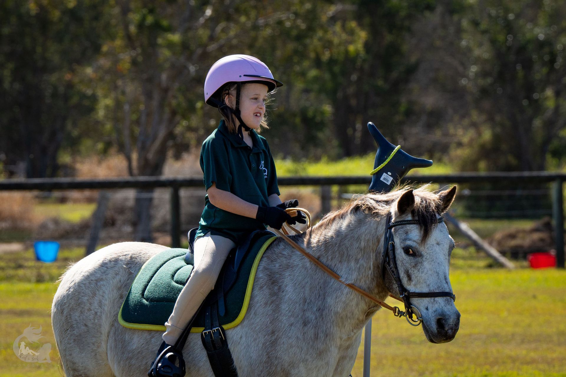 Child wearing a purple helmet riding a gray pony in an outdoor arena.
