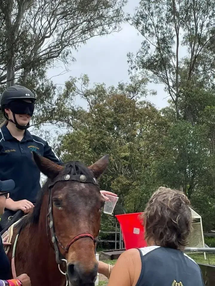 Person blindfolded on horseback; a second person feeds horse. Trees in background.