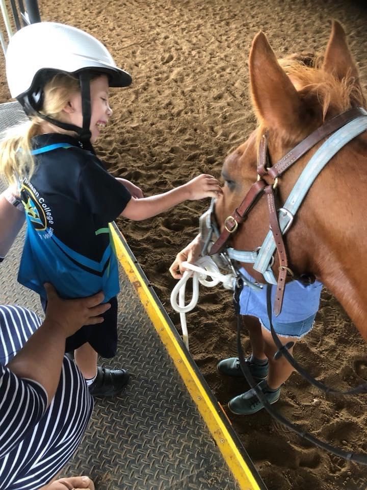 A child in a riding helmet pets a brown horse. They are in an arena.