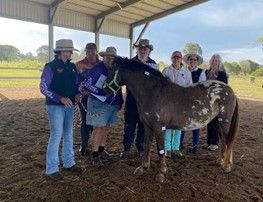People gather around a spotted horse in an outdoor arena. A few people wear hats, holding papers. A shed in the background.