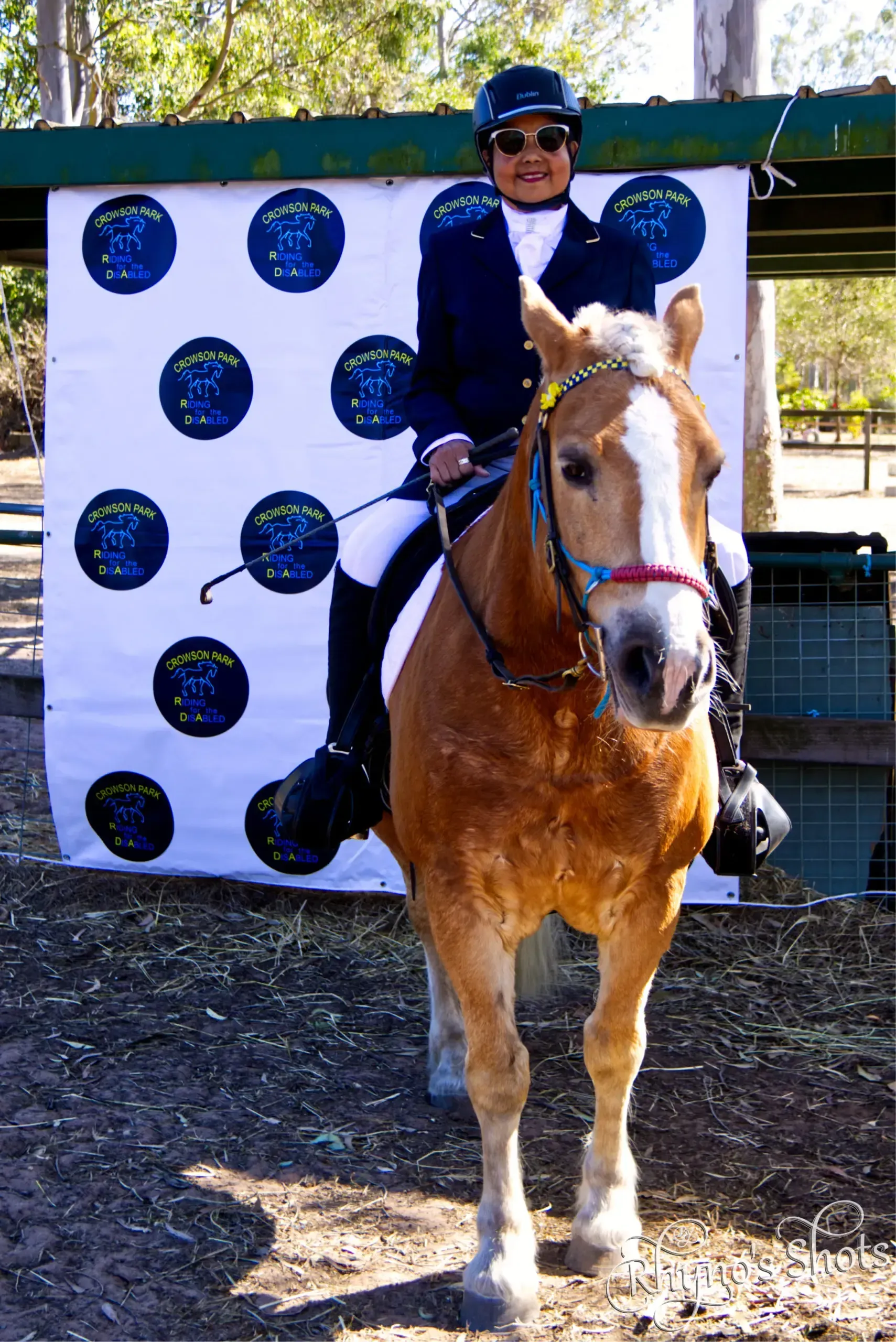 Equestrian in navy jacket rides a light brown horse with a white face, in front of a target board.