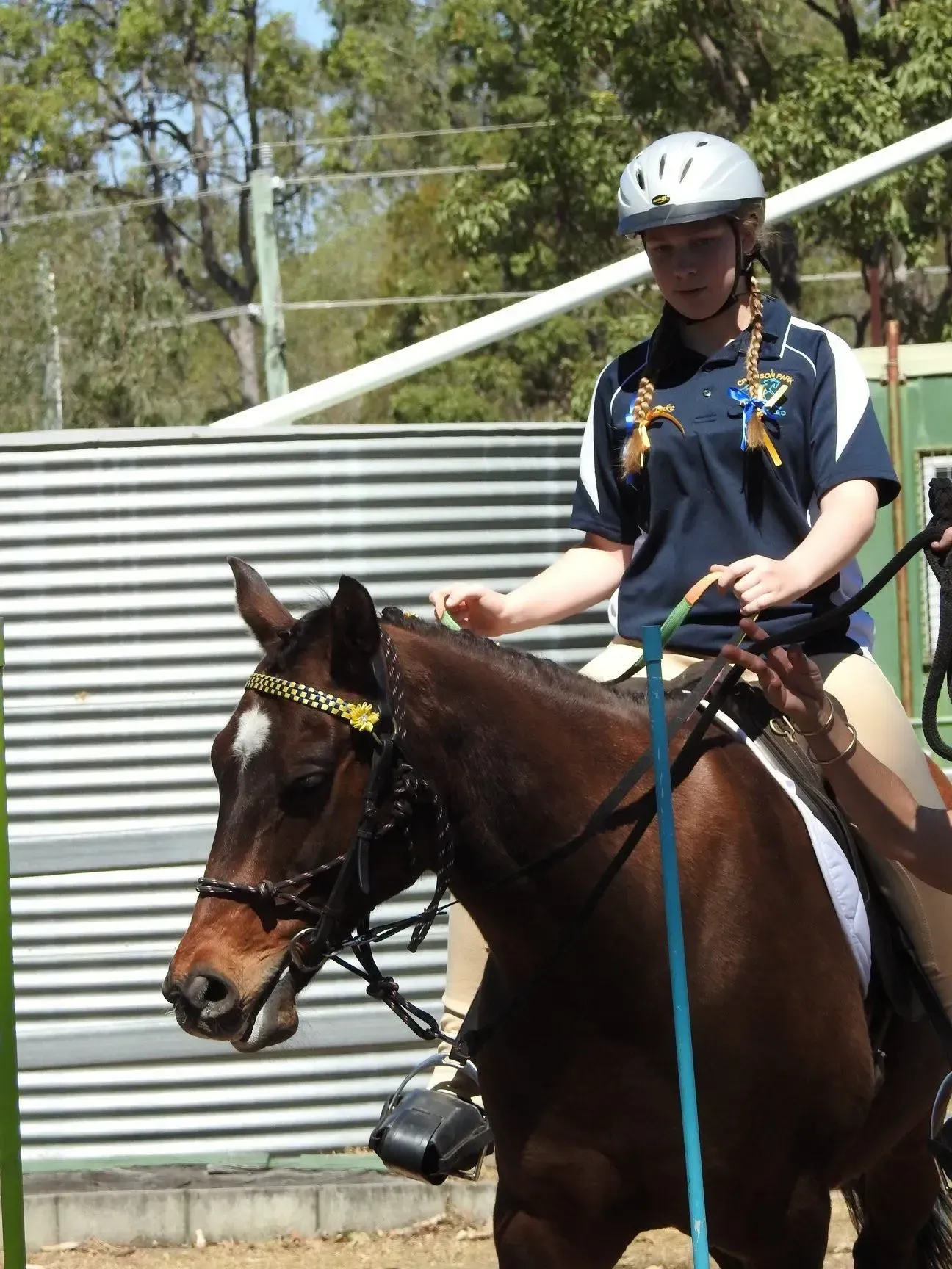 Young person in riding helmet on a brown horse, touching its neck; outdoors.