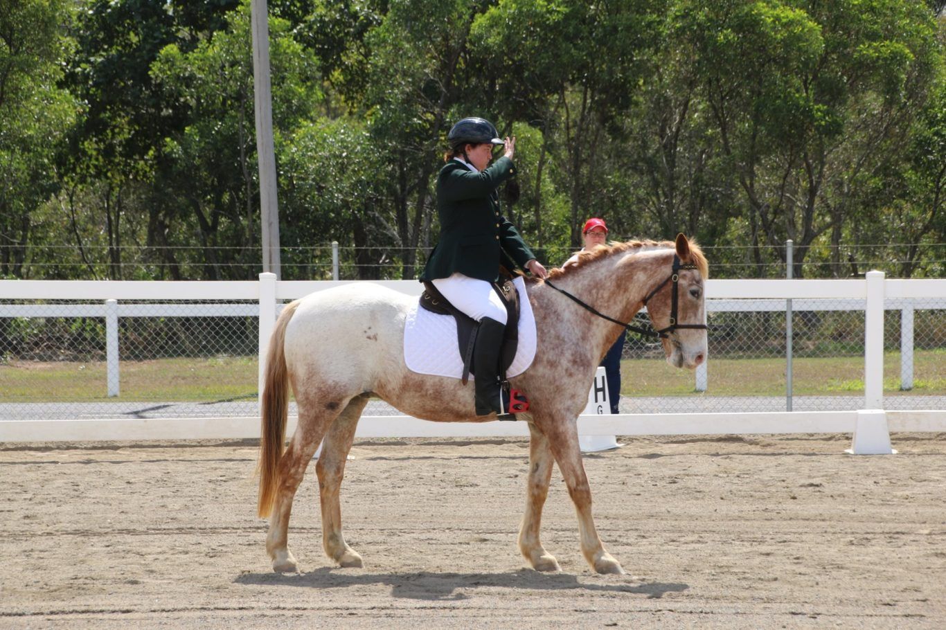 Person on a dappled horse in an equestrian arena, raising their hand, wearing a jacket and helmet.