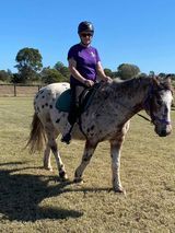 Person on a spotted horse, outdoors. Rider wears a helmet and purple shirt. Horse stands on grass.