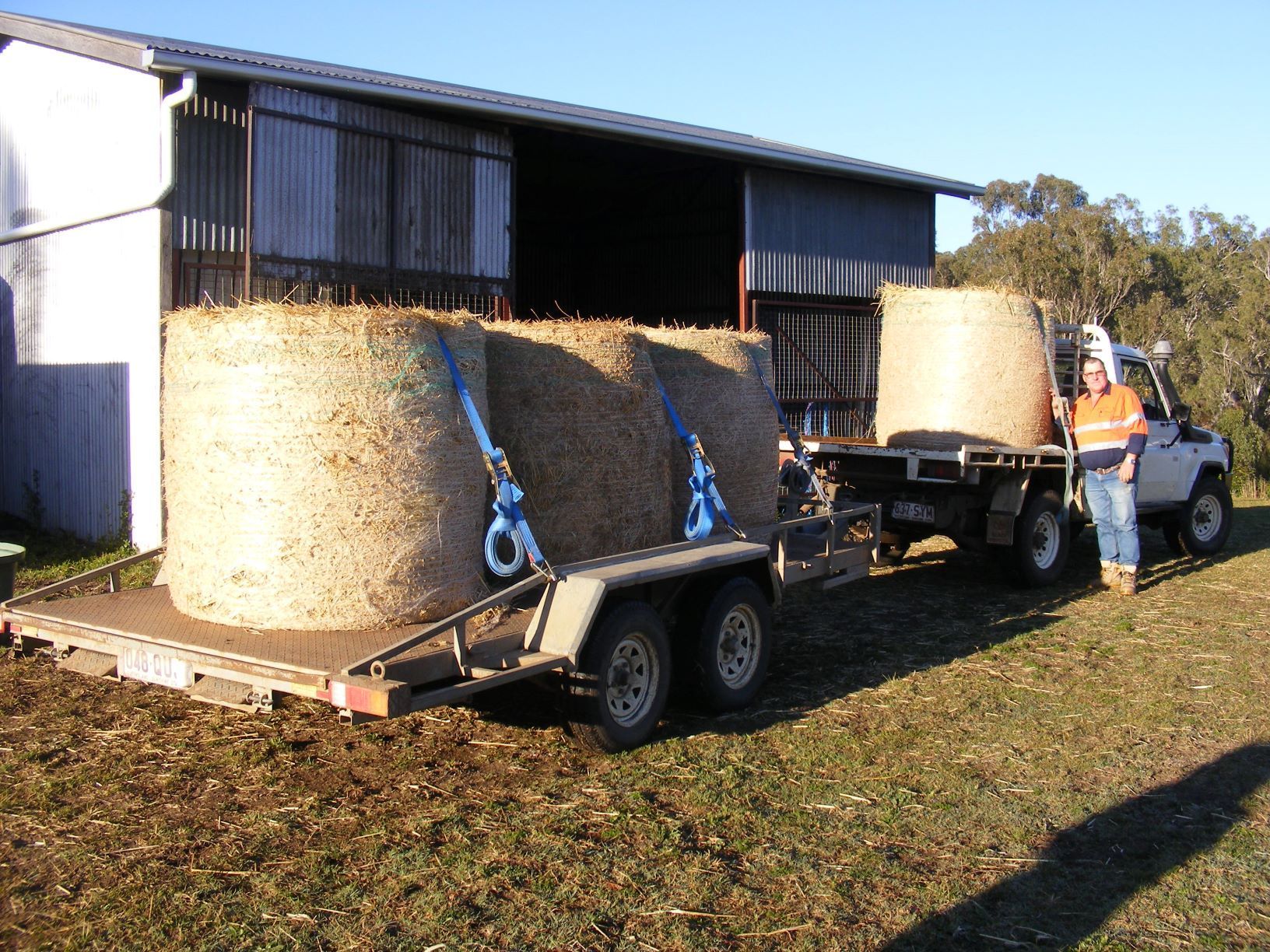 A man stands next to a truck pulling a trailer with three large hay bales near a barn.