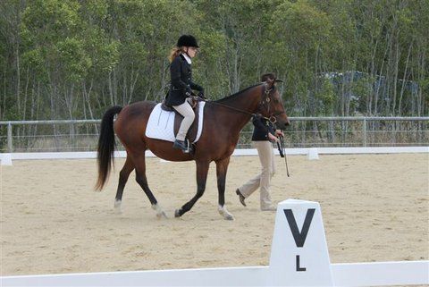 A rider on a brown horse in a dressage arena, being led by a person.