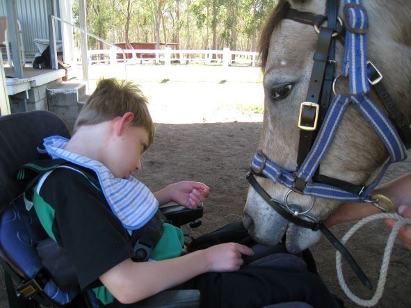 Boy in wheelchair interacting with a horse; outdoor setting.